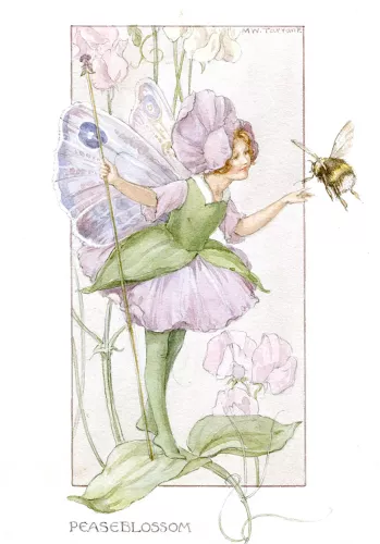 Fairy Land peas blossom, Minicard
