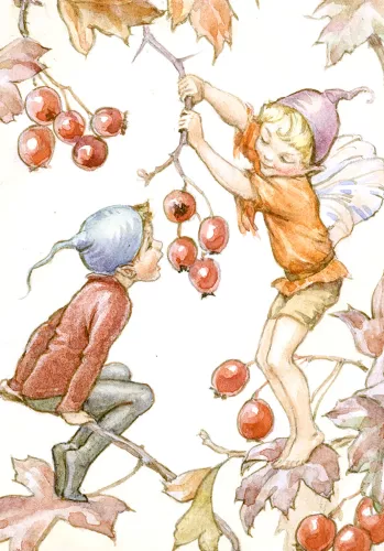 Fairy Land rosehips, Minicard