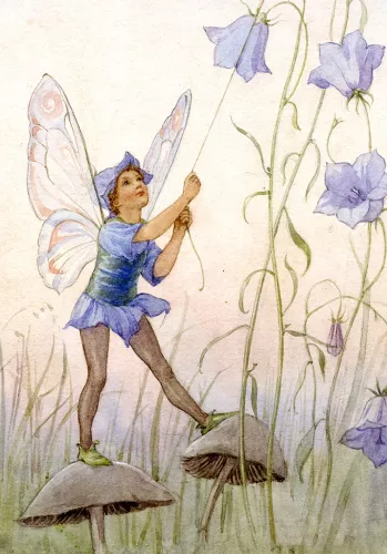 Fairy Land bell flower, Minicard
