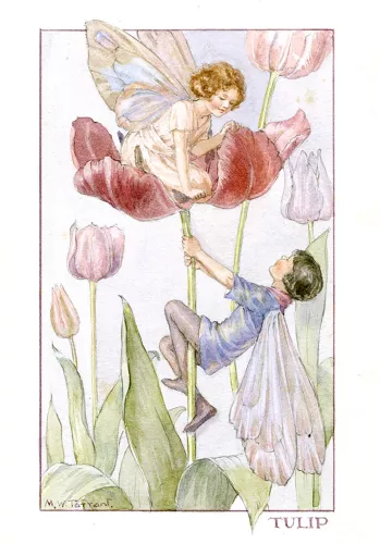 Fairy Land tulip, Minicard