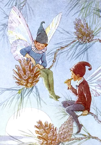Fairy Land pinecone, Minicard