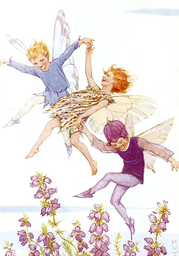 Fairy Land lavender, Minicard
