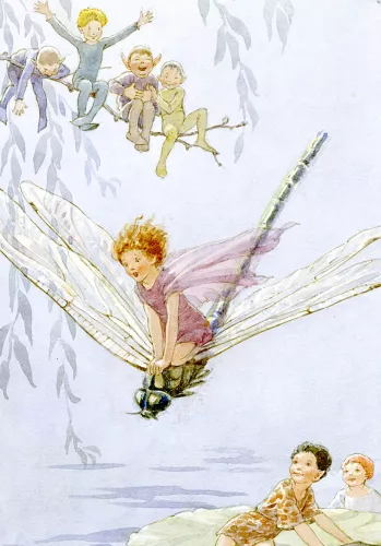 Fairy Land dragonfly, Minicard