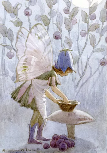 Fairy Land blueberries, Minicard
