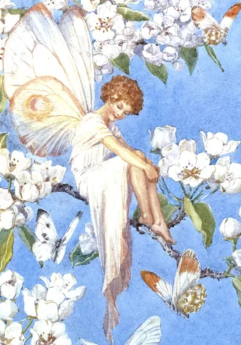 Fairy Land blossom, Minicard