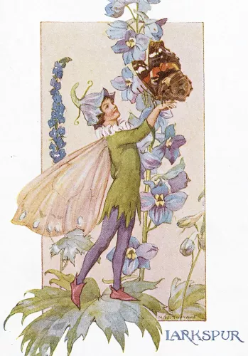 Fairy Land with larkspur, Minicard