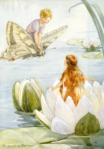 Fairy Land waterlily, Minicard