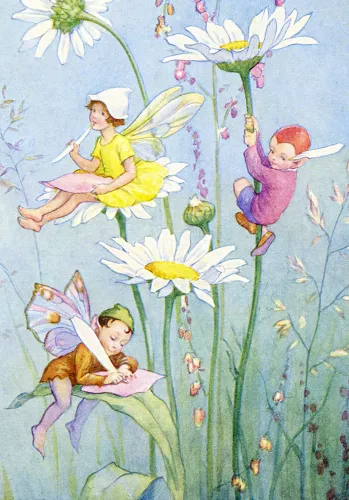 Fairy Land dasies, Minicard