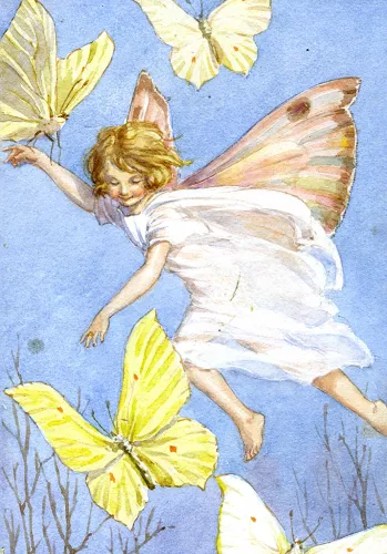 Fairy Land with butterflies, Minicard