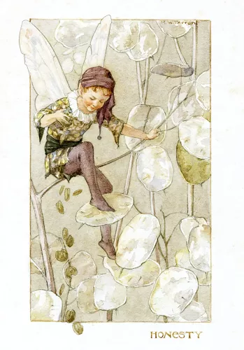 Fairy Land honesty, Minicard