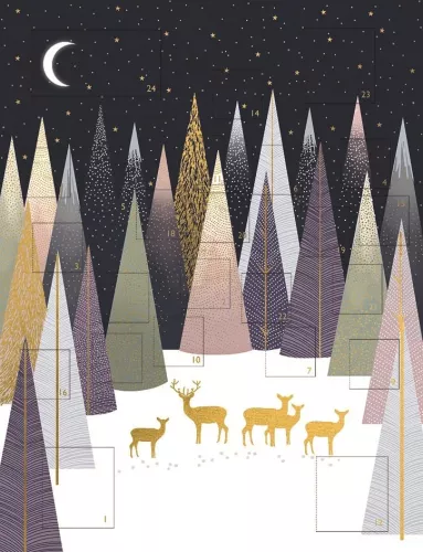 Sara Miller Advent Calendar