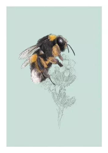 Bumble Bee, Everyday Single Card