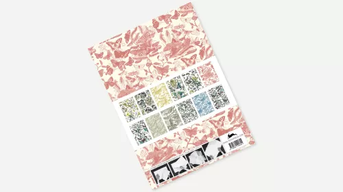 Butterflies, Gift & Creative Paper Book