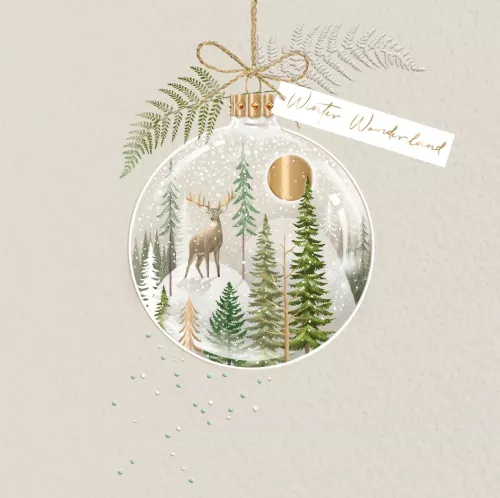 Christ / Curious / Greeting Card