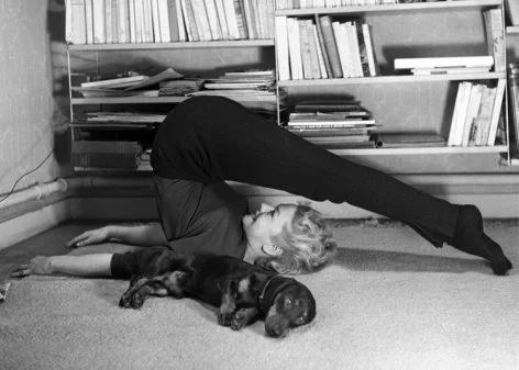 Woman exercising and dog sleeping, Greeting Card