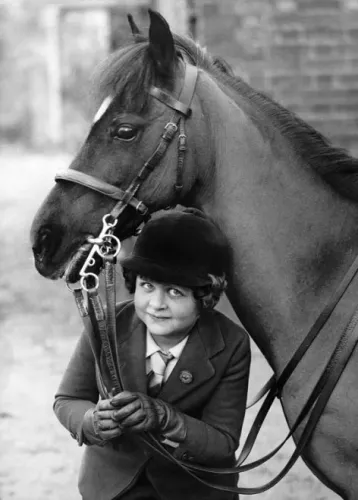 Young rider and horse, Greeting Card