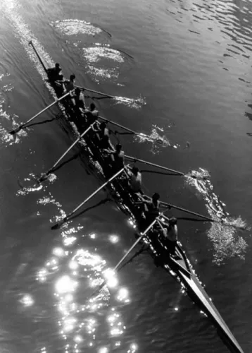 Rowing eight from above, Greeting Card