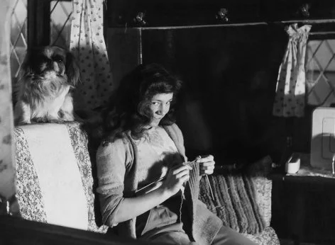 Knitting at home, Greeting Card