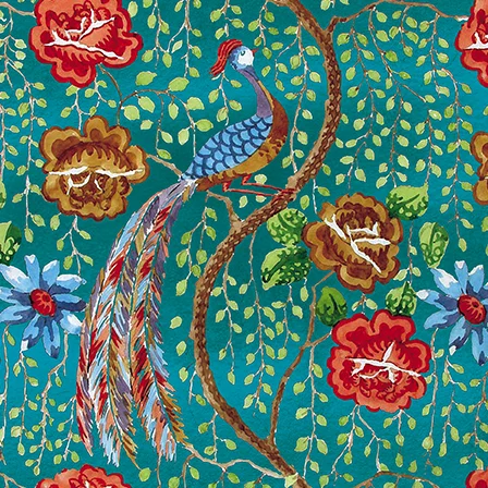 Peacock, Greeting Card