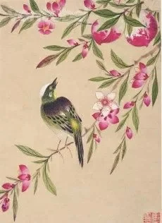 Bird and Fruit, Greeting Card