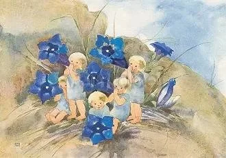 Gentian, Postcard