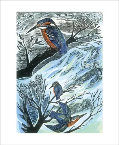 Suffolk Kingfishers, Greeting Card
