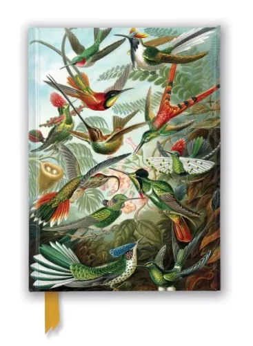 Ernst Haeckel: Hummingbirds, A5 Foiled Journal