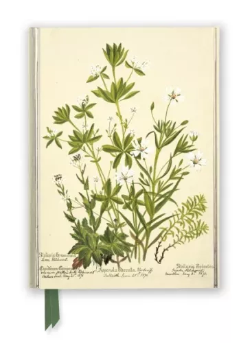RBGE: Charlotte Cowan Pearson: Stitchworts, Woodruff and Pepperwort , A5 Foiled Journal