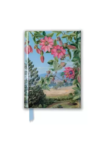 Kew: Marianne North: View in Brisbane Botanic Garden , Foiled Pocket Journal