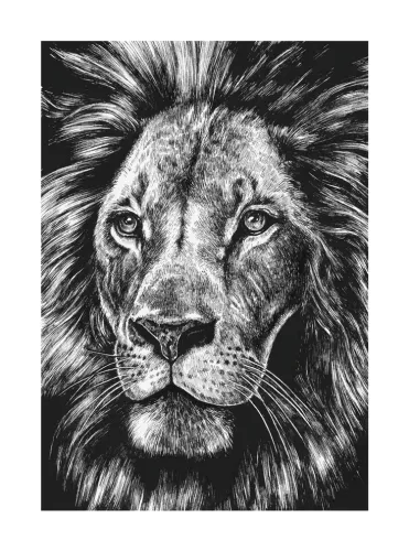 Lion, Greeting Card