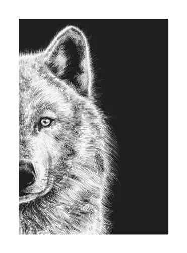 Wolf, Greeting Card