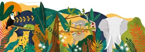 Z-Fold Jungle, Greeting Card