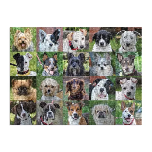 Rescue Dogs, 1000 Piece Puzzle