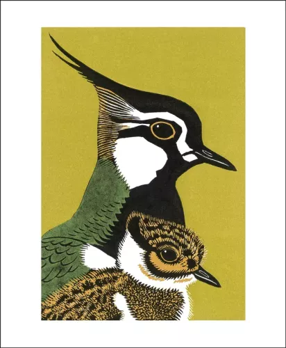 Peewit and Son, Greeting Card