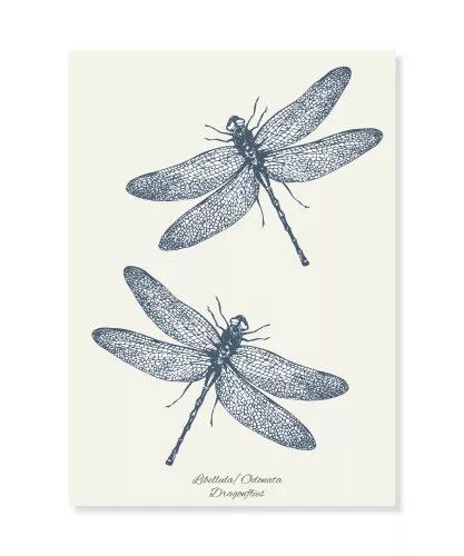 Dragonflies, Dubbelvikt Kort