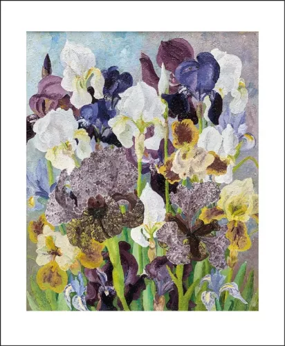 May Flowering Irises, 1935, Greeting Card