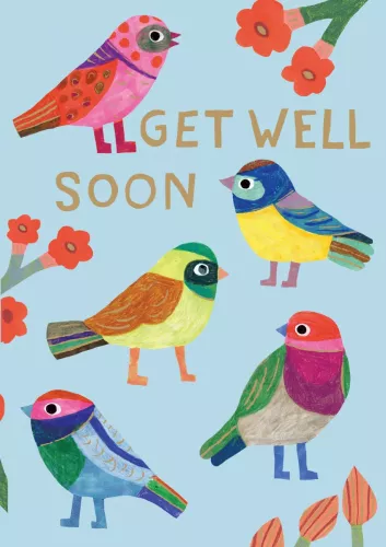 Colourful Birds Greeting Card