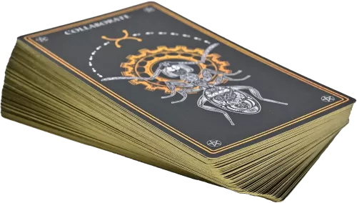 Wild Mystic Oracle Card Deck