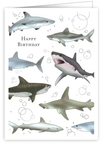 Sharks, Greeting Card