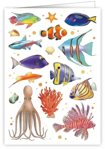Fish, Greeting Card