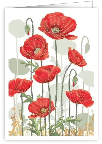 Red Poppies, Greeting Card