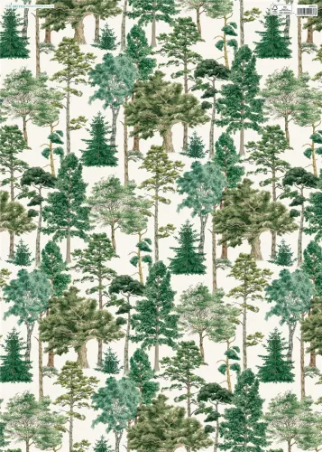 Major Oak Gw, Flat Wrap