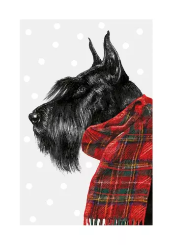 Xmas Schnauzer, Greeting Card