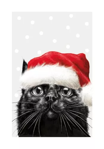 Xmas Black Cat, Greeting Card