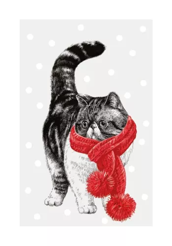 Xmas Tabby Cat, Greeting Card