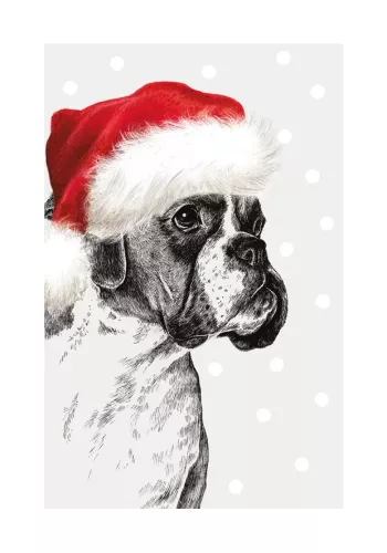 Xmas Boxer, Greeting Card