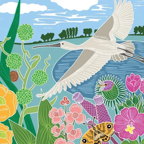 Spoonbill, Greeting Card