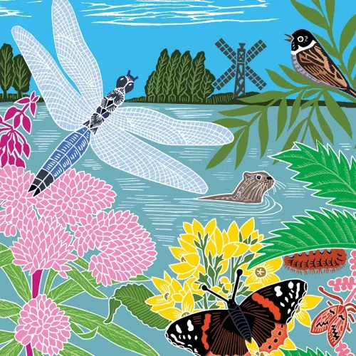 Dragonfly & Otter , Greeting Card