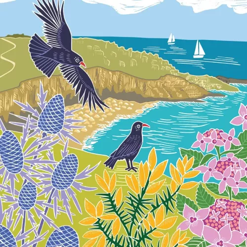 Choughs On The Cliffs, Greeting Card