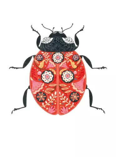 Floral Ladybird, Greeting Card